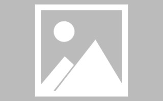 沂南新区景区网站建设（in art criticism,you must assume）
